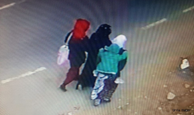 Urfa’nın ilçesinde eve giren hırsızlar 2 bin Euro’yu çaldı!