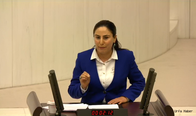 Vekil Sürücü, Urfa'nın eğitim sorununu TBMM'ye taşıdı!