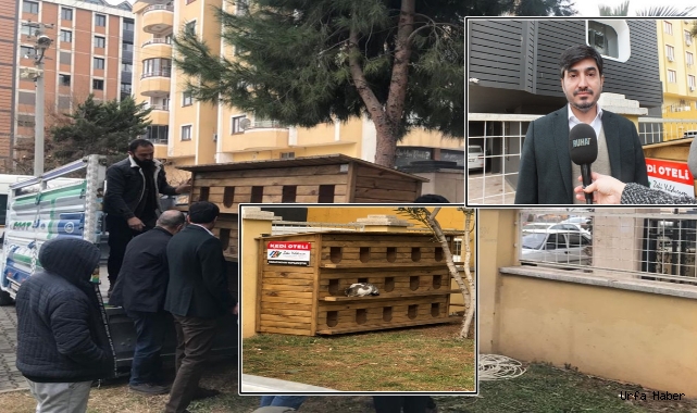 İş İnsanı Yıldırım, sokak hayvanlarını unutmadı