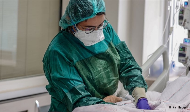 Koronavirüs 236 can daha aldı!