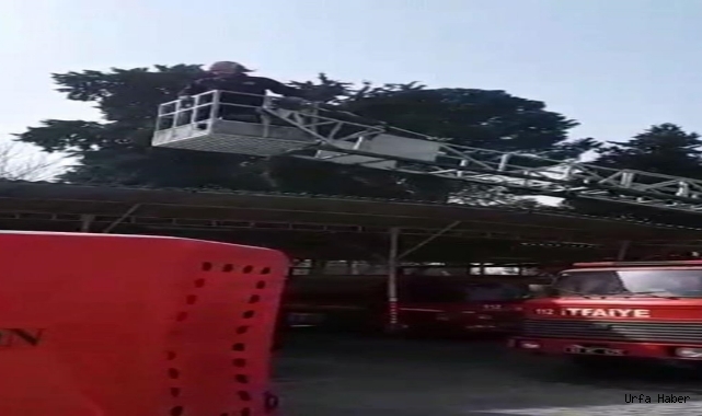  Urfa'da ağır yaralanan itfaiye erinin sağlık durumu ile ilgili açıklama!
