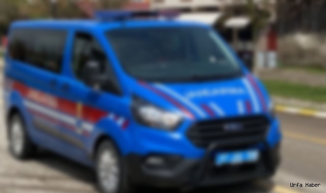 Urfa’da jandarma ekipleri taşlı saldırıya uğradı!