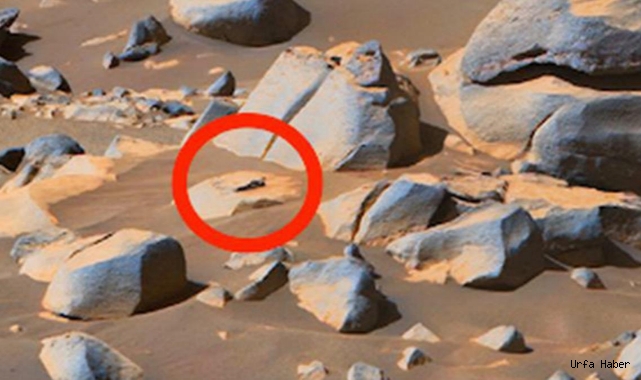 Uzman isim Mars'ta akıllı yaşamın yüzde yüz ispatı diyerek paylaştı!