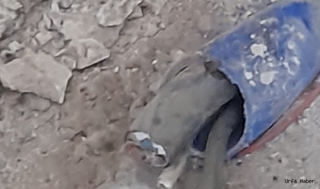  Viranşehir’de hırsızların sonu gelmiyor! Su kuyusuna dadandılar
