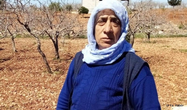  Yıldırım Ailesinin acı günü!