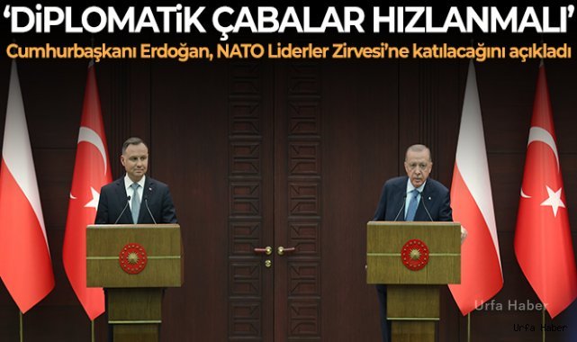 Cumhurbaşkanı Erdoğan: "Savaşın sona erdirilmesi için diplomatik çabalar hızlanmalı"