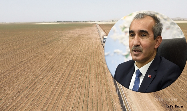 DSİ açıkladı: 935 bin 516 hektar alanda tapulaşma yapıldı