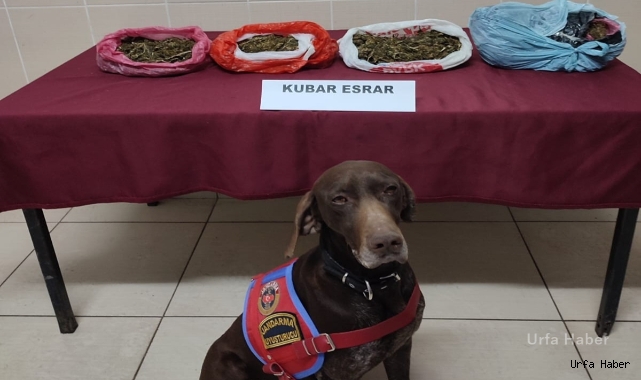 Jandarma zehir tacirlerine geçit vermiyor