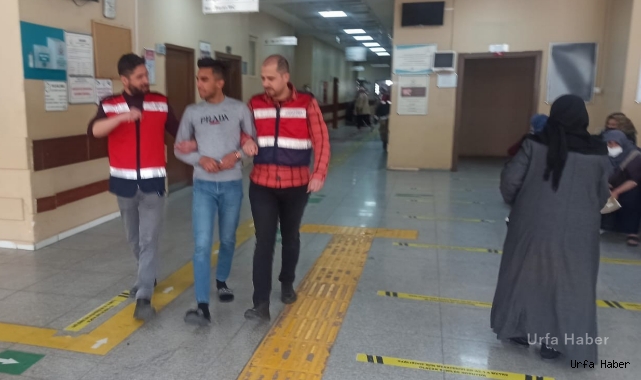 Şanlıurfa’da suç makinesi yakalandı