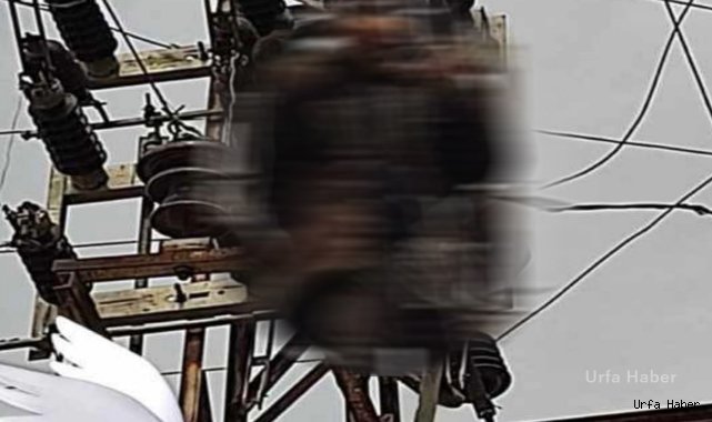 Urfa'da feci ölüm: Elektrik direği üzerinde akıma kapıldı