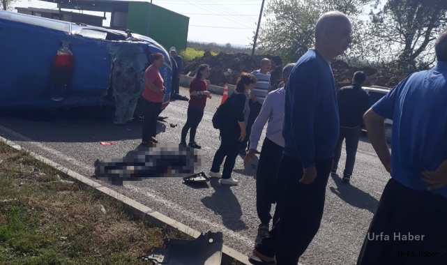 Adana'da facia gibi kaza