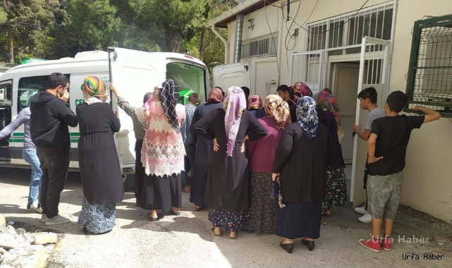 Devrilen traktörün sürücüsü hayatını kaybetti