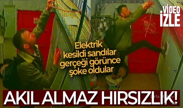 Elektrik kesildi sandılar, gerçeği görünce şoke oldular