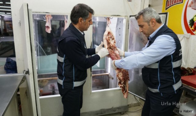Haliliye zabıtası kilolarca kokmuş et ele geçirdi