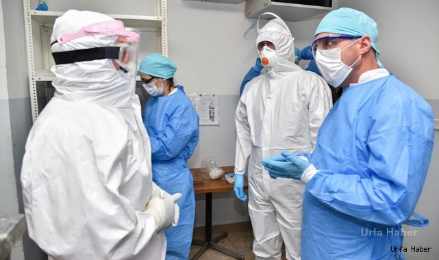 Korona virüsten 15 kişi hayatını kaybetti