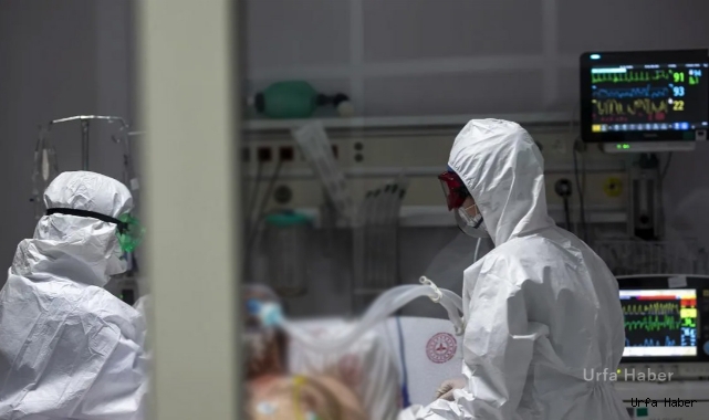 Koronavirüs vefat sayıları açıklandı!