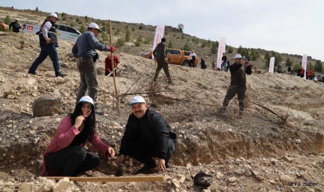 Şanlıurfa’da GARD Ormanı İçin Fidanlar Dikildi.