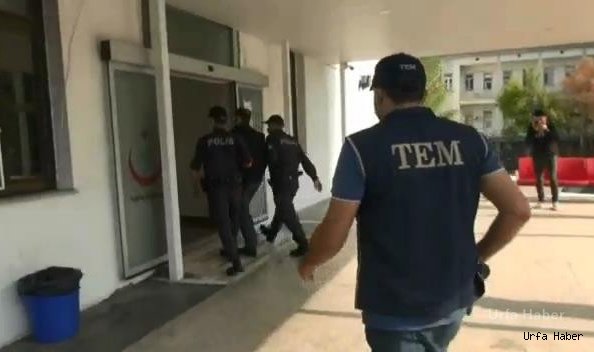  Urfa dahil 6 ilde terör operasyonu