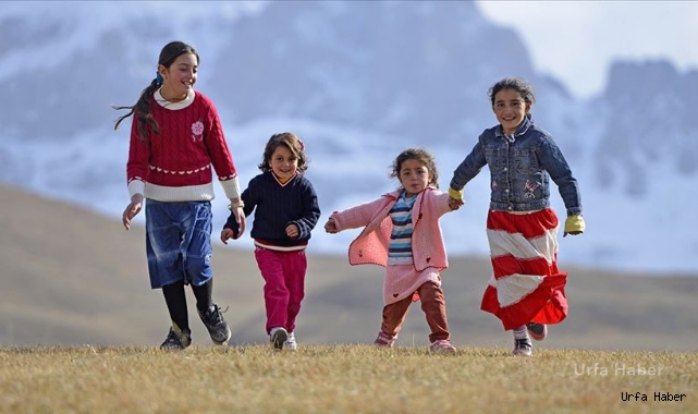Veriler açıklandı: En yüksek olduğu il Şanlıurfa oldu