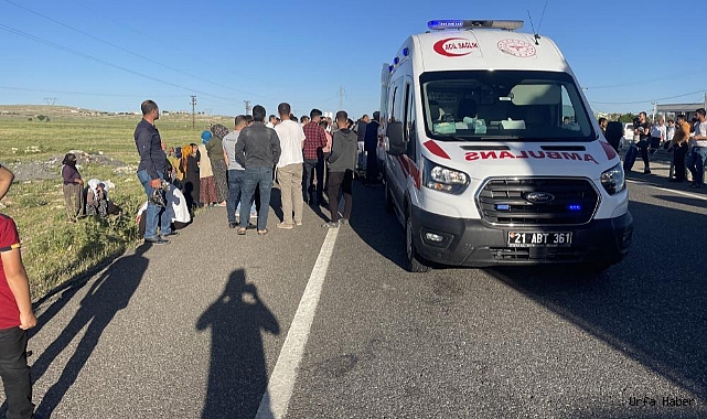  Aracın çarptığı küçük kız hayatını kaybetti