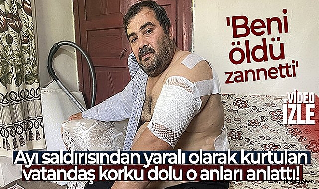Ayı saldırısına uğrayan vatandaş: 'Beni öldü zannetti'