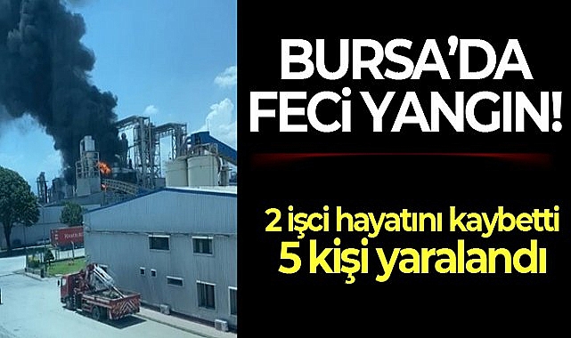 Bursa'da orman ürünleri fabrikasında kazan patladı, yangın çıktı: 2 ölü, 5 yaralı
