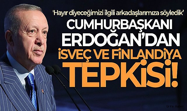 Cumhurbaşkanı Erdoğan'dan İsveç ve Finlandiya tepkisi!
