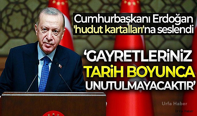 Cumhurbaşkanı Erdoğan 'hudut kartalları'na seslendi