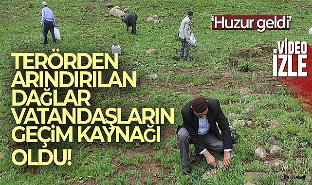 Doğu ve Güneydoğuda teröristlerden arındırılan dağlar, vatandaşların geçim kaynağı oldu