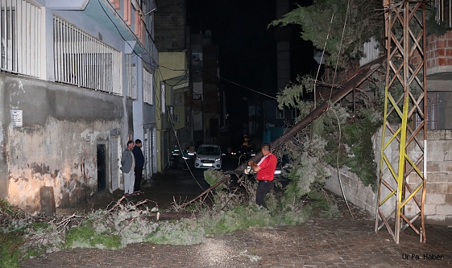 Haliliye Belediyesi olumsuzluk yaşanmaması için sahadaydı