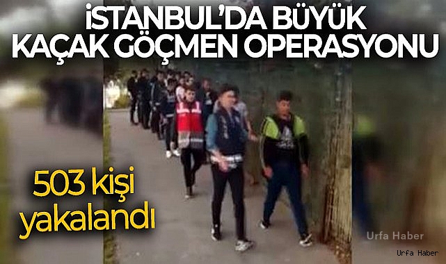 İstanbul'da 7 ilçede yapılan uygulamada 503 kaçak göçmen yakalandı
