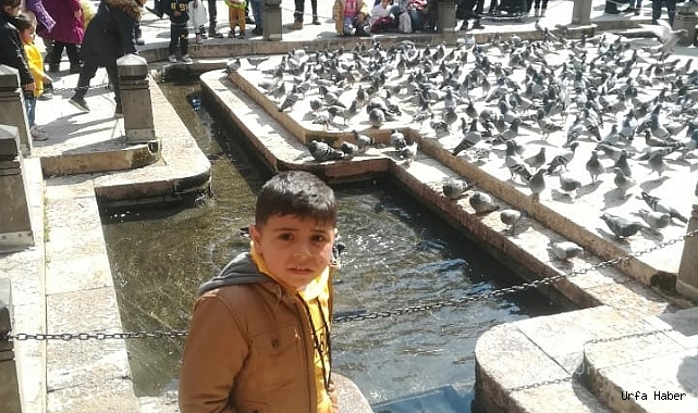 Şanlıurfa’da halk otobüsünün çarptığı çocuk öldü