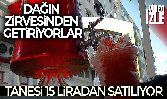 Toros dağlarının zirvesindeki obruklardan getirilip bardağı 15 TL'den satılıyor