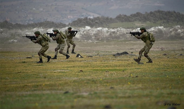 Urfa sınırında 7 terörist etkisiz hale getirildi