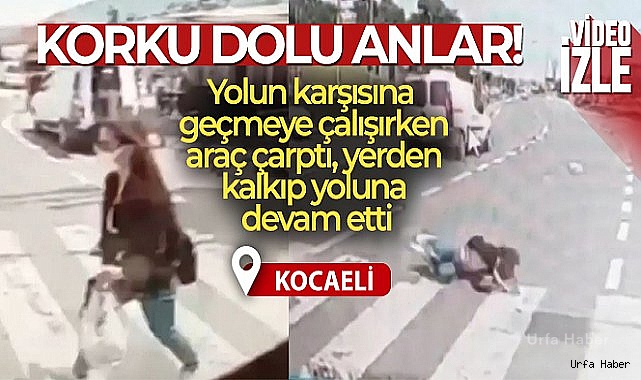 Yolun karşısına geçmeye çalışırken araç çarptı, yerden kalkıp yoluna devam etti