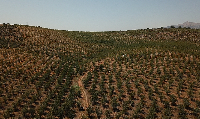 8 ana su havzasında 19 proje başlatıldı