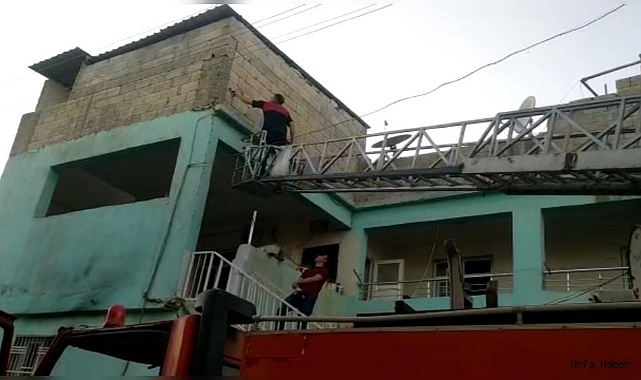 Duvarda asılı kalan ebabil kuşunu ekipler kurtardı