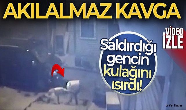 Galata'da akıl almaz kavga kamerada: Alçılı kolla ve falçatayla saldırıp, kulağından ısırdı