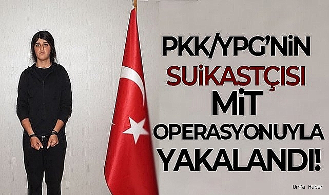 MİT'ten Suriye'de nefes kesen operasyon: PKK/YPG'nin suikastçısı yakalandı