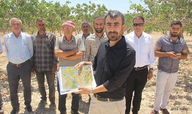 Şanlıurfa’da fıstık üreticileri baklavacılara ateş püskürdü!