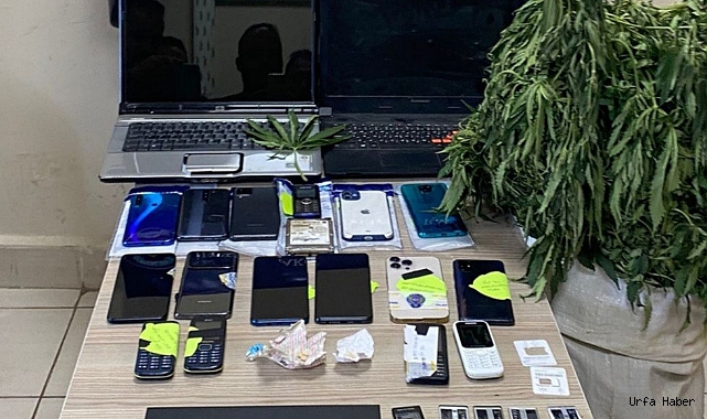 Şanlıurfa’da telefon dolandırıcılarına operasyon: 4 gözaltı