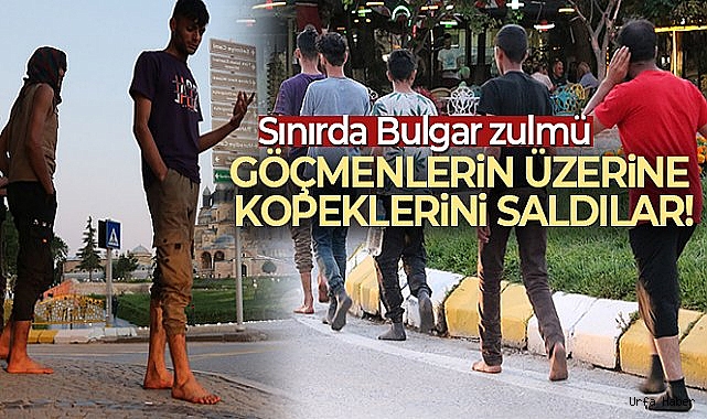 Sınırda Bulgar zulmü: Göçmenlerin üzerine köpeklerini saldılar