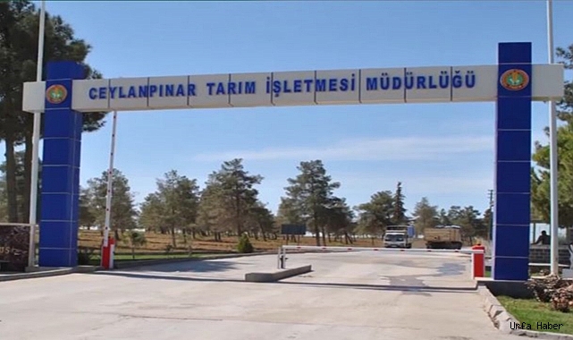 Son dakika! TİGEM Ceylanpınar işletmesine soruşturma açıldı