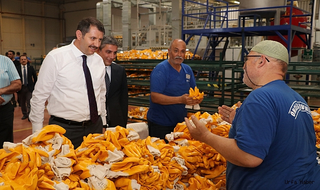 Vali Ayhan, Temaslarını Sürdürüyor