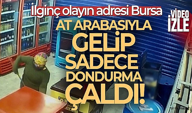 At arabasıyla gelip dolaptaki tüm dondurmaları çaldılar