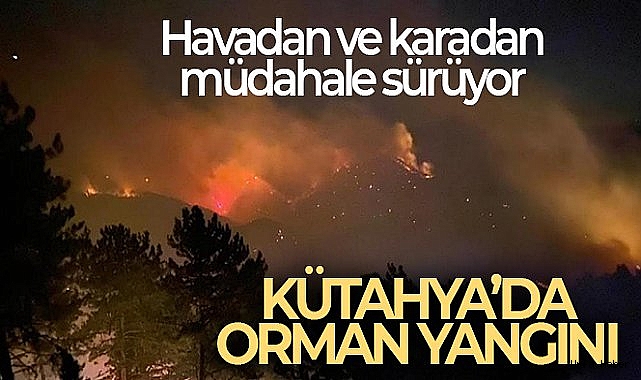 Bir yangın da Kütahya'dan!