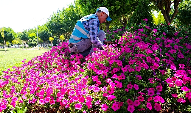 EYYÜBİYE PARKLARINDA PEYZAJ DÜZENLEMESİ
