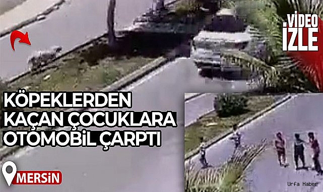 Köpeklerden kaçan 2 çocuğa otomobil çarptı