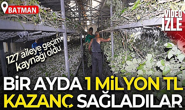 Sason'da ipek böceğinden bir ayda 1 milyon TL'lik kazanç sağlandı