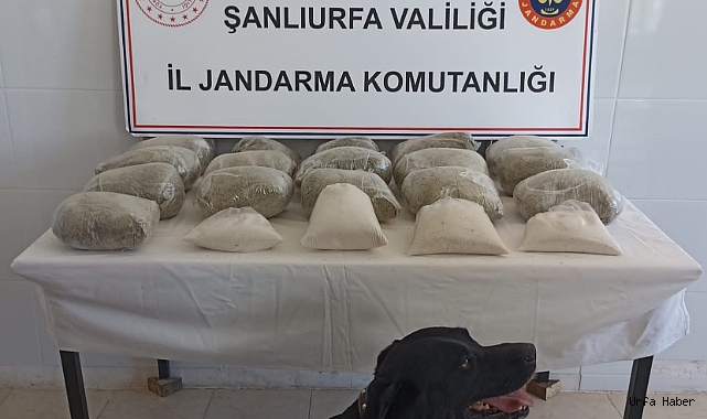 URFA'DA 3 MİLYON DEĞERİNDE UYUŞTURUCU ELE GEÇİRİLDİ